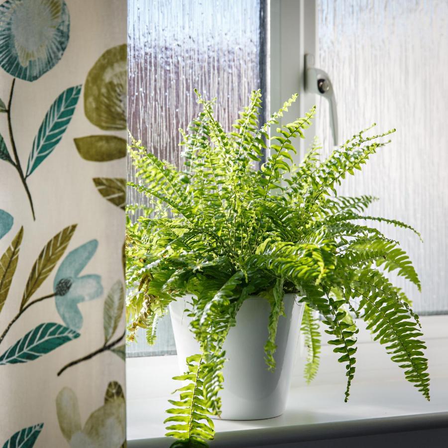 Chestnut Cottage Felbrigg 外观 照片